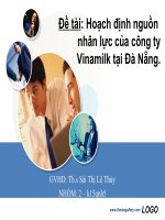 Hoạch định nguồn nhân lực của công ty Vinamilk tại Đà Nẵng