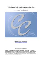Tài liệu Telephone (or E-mail) Customer Service doc