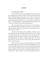 xác lập, thực hiện và chấm dứt quyền sở hữu tài sản của công ty đối vốn ở nước ta