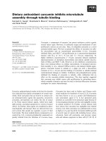 Tài liệu Báo cáo khoa học: Dietary antioxidant curcumin inhibits microtubule assembly through tubulin binding pptx