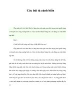 Tài liệu Các bài tả cảnh biển pdf