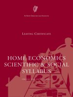 Tài liệu HOME ECONOMICS SCIENTIFIC & SOCIAL SYLLABUS doc