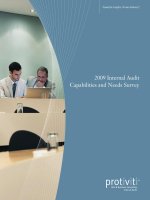 Tài liệu 2009 Internal Audit Capabilities and Needs Survey pot