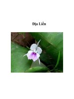 Tài liệu Địa Liền ppt