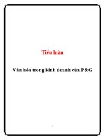 Tài liệu Tiểu luận: Văn hóa trong kinh doanh của P&G pdf