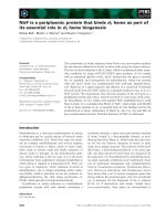 Tài liệu Báo cáo khoa học: NirF is a periplasmic protein that binds d1 heme as part of its essential role in d1 heme biogenesis pdf