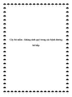 Tài liệu Cây bò mắm - kháng sinh quý trong các bệnh đường hô hấp docx