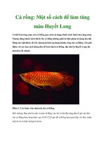 Tài liệu Cá rồng: Một số cách để làm tăng màu Huyết Long ppt