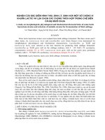 Tài liệu Nghiên cứu đặc điểm hình thái, sinh lý, sinh hóa một số chủng vi khuẩn Lactic và lựa chọn các chủng thích hợp trong chế biến cải bẹ muối chua potx