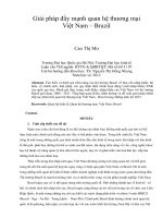 Giải pháp đẩy mạnh quan hệ thương mại việt nam – brazil