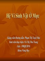 Tài liệu Hệ Vi Sinh Vật Ở Mực ppt