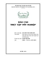 Xây dựng mô hình kinh doanh Khu sinh thái Vườn Xoài - Đông Anh - Hà Nội