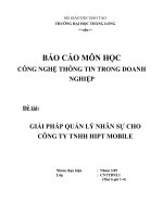 Tài liệu Đề tài: GIẢI PHÁP QUẢN LÝ NHÂN SỰ CHO CÔNG TY TNHH HIPT MOBILE ppt
