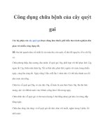 Tài liệu Công dụng chữa bệnh của cây quýt gai pdf