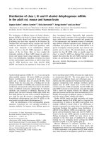 Tài liệu Báo cáo khoa học: Distribution of class I, III and IV alcohol dehydrogenase mRNAs in the adult rat, mouse and human brain ppt