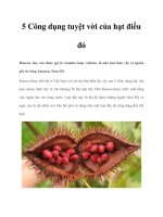 Tài liệu 5 Công dụng tuyệt vời của hạt điều đỏ pot