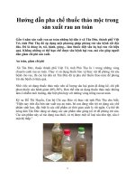 Tài liệu Hướng dẫn pha chế thuốc thảo mộc trong sản xuất rau an toàn pdf