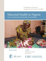 Tài liệu MATERNAL HEALTH IN NIGERIA WITH LEADERSHIP, PROGRESS IS POSSIBLE potx
