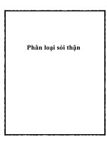 Tài liệu Phân loại sỏi thận ppt