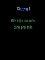Tài liệu Các nước đang phát triển pptx