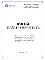 báo cáo thực tập nhận thức công ty cổ phần 32