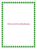 Tài liệu Chữa cao huyết áp bằng đậu phụ. doc