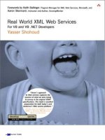 Tài liệu Real World XML Web Services pdf