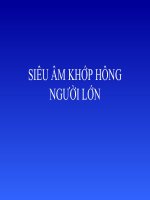 Tài liệu Siêu âm khớp hông pot