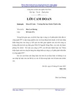 hoàn thiện hạch toán lưu chuyển hàng hóa nhập khẩu tại công ty cổ phần phát triển đầu tư công nghệ fpt