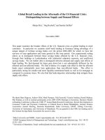 Tài liệu Global Retail Lending in the Aftermath of the US Financial Crisis: Distinguishing between Supply and Demand Effects ppt
