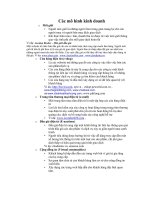 các mô hình kinh doanh 