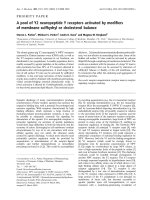 Tài liệu Báo cáo Y học: A pool of Y2 neuropeptide Y receptors activated by modiﬁers of membrane sulfhydryl or cholesterol balance pot