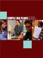 Tài liệu SIMPLE IRA PLANS for Small Businesses pptx