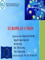 Tài liệu EUROPEAN UNION -Liên minh châu Âu ppt