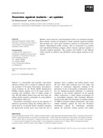 Tài liệu Báo cáo khoa học: Vaccines against malaria – an update doc