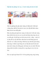 Tài liệu Sắp đặt căn phòng vỏn vẹn... 12 mét vuông cho hai trẻ nhỏ pot