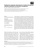 Tài liệu Báo cáo khoa học: Probing the molecular determinants of aniline dioxygenase substrate speciﬁcity by saturation mutagenesis docx