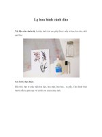 Tài liệu Lọ hoa hình cành đào pot