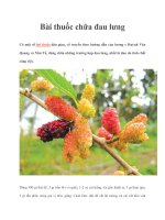 Tài liệu Bài thuốc chữa đau lưng potx
