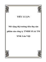 Tài liệu TIỂU LUẬN: Mở rộng thị trường tiêu thụ sản phẩm của công ty TNHH SX & TM XNK Lửa Việt doc
