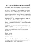 Tài liệu Kỹ thuật nuôi cá mú đen trong ao đất ppt