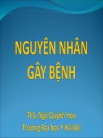 Tài liệu Nguyên nhân gây bệnh pot