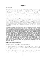 Tài liệu Báo cáo quy hoạch - kế hoạch sử dụng đất kỳ đầu và kỳ cuối huyện Xuân Lộc pot