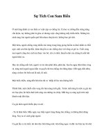 Tài liệu Sự Tích Con Sam Biển pptx