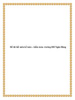 Tài liệu Đề thi hết môn kế toán – kiểm toán- trường ĐH Ngân Hàng doc