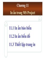 Tài liệu In ấn trong MS Projec pdf