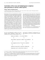 Tài liệu Báo cáo Y học: Inactivation of the 2-oxo acid dehydrogenase complexes upon generation of intrinsic radical species pptx