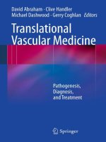 Tài liệu Translational Vascular Medicine docx