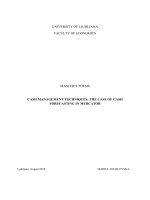 Tài liệu CASH MANAGEMENT TECHNIQUES: THE CASE OF CASH FORECASTING IN MERCATOR pdf