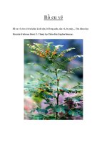 Tài liệu Bồ cu vẽ pptx